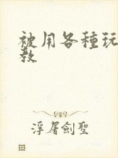 被用各种玩具调教