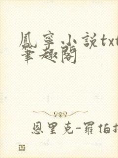 凤宁小说txt笔趣阁