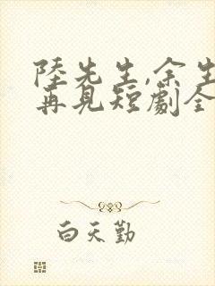 陆先生,余生不再见短剧全集封面