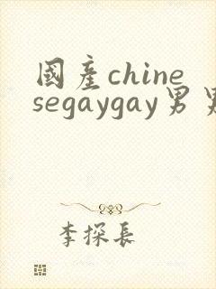 国产chinesegaygay男男网站封面