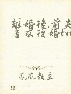 离婚后,前夫哭着求复婚txt