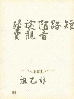 归途陌路短剧免费观看