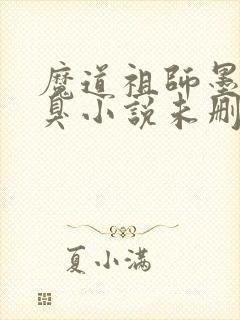 魔道祖师墨香铜臭小说未删版全文