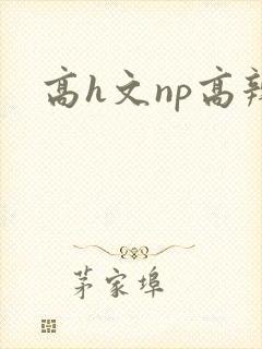 高h文np高辣