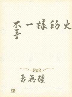 不一样的火影纲手