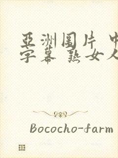 亚洲图片 中文字幕 熟女人妻封面