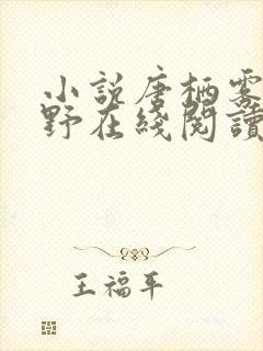 小说唐栖雾靳沉野在线阅读