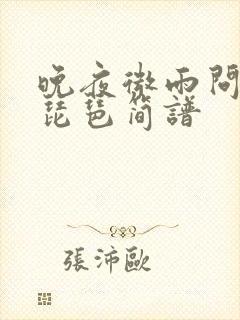 晚夜微雨问海棠琵琶简谱