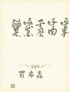 猫嗓子呼噜呼噜是怎么回事封面