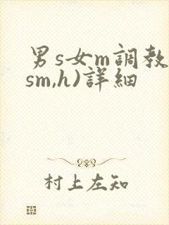 男s女m调教(sm,h)详细