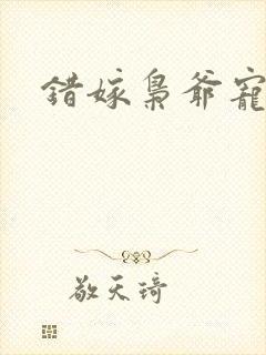 错嫁枭爷宠合集