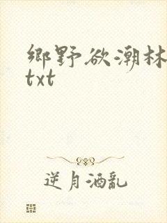 乡野欲潮林天成txt封面