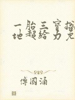 一胎三宝总裁爹地超给力免费阅读