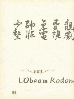 少帅免费观看完整版电视剧高清