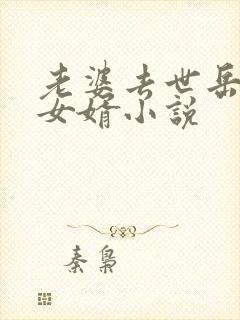 老婆去世岳母和女婿小说