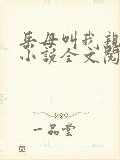 岳母叫我亲哥哥小说全文阅读下载