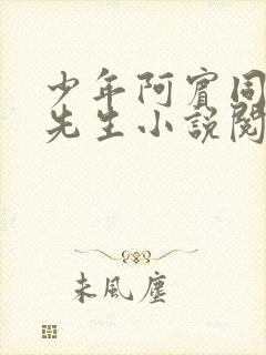 少年阿宾同人胡先生小说阅读