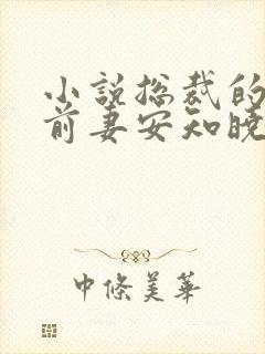 小说总裁的替身前妻安知晓