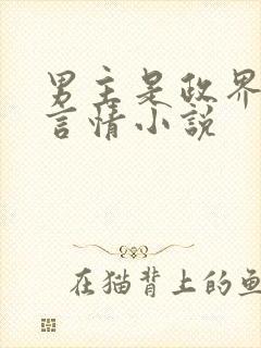 男主是政界高干言情小说