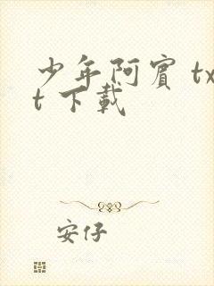 少年阿宾 txt 下载