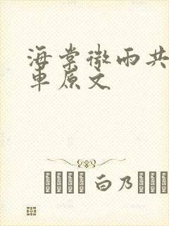 海棠微雨共归途车原文封面