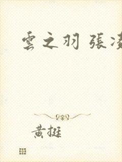 云之羽 张凌赫封面