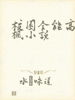 校园全能高手季枫小说
