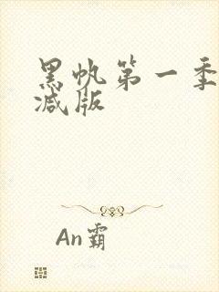 黑帆第一季未删减版封面