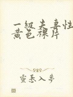 一级夫妻性生活黄色裸片