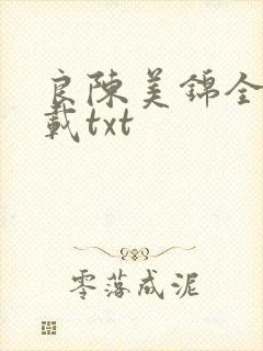良陈美锦全本下载txt