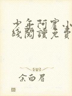 少年阿宾小说在线阅读免费封面