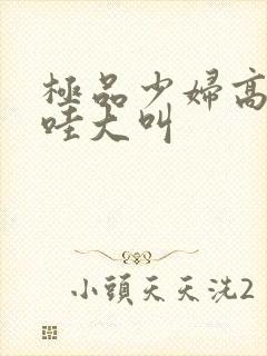 极品少妇高潮哇哇大叫封面