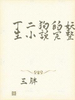 丁二狗的妖孽人生小说完整版封面