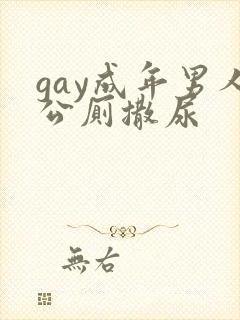 gay成年男人公厕撒尿