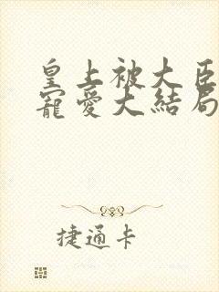 皇上被大臣轮番宠爱大结局是什么