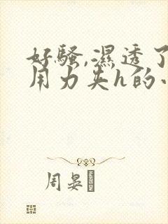 好骚,湿透了,用力夹h的小说