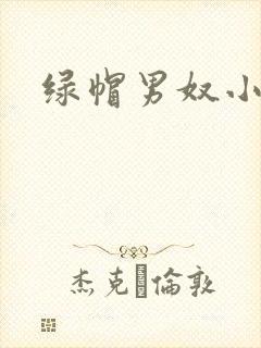 绿帽男奴小说