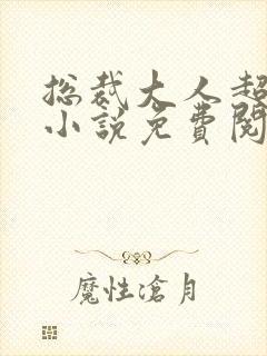 总裁大人超给力小说免费阅读全文封面