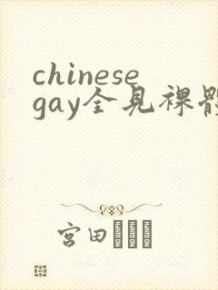 chinesegay全见裸体