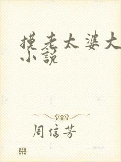 摸老太婆大乳房小说