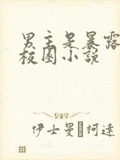 男主是暴露狂的校园小说封面