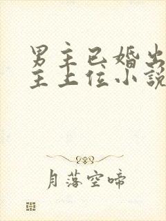 男主已婚出轨女主上位小说