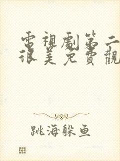 电视剧第二次也很美免费观看