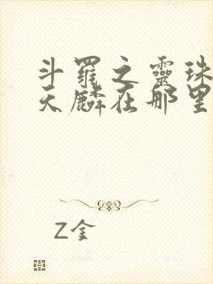 斗罗之灵珠神剑天麟在那里更新