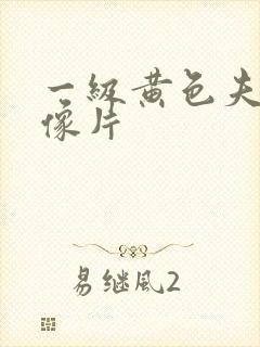 一级黄色夫妻录像片封面