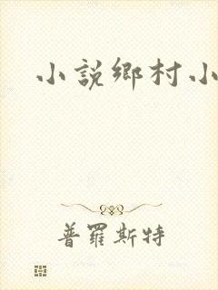 小说乡村小农民封面