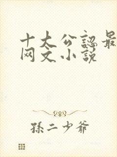 十大公认最好看网文小说封面