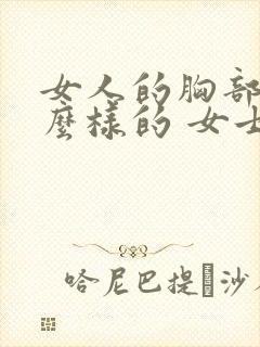 女人的胸部是什么样的 女士封面