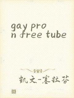 gay pron free tube封面