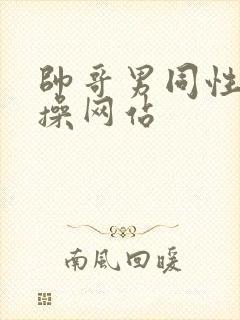 帅哥男同性恋互操网站